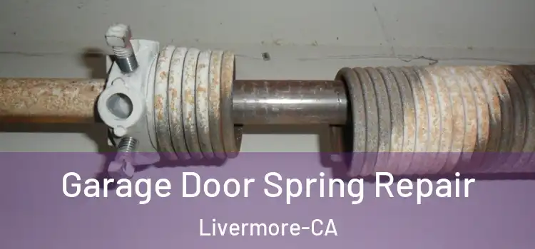  Garage Door Spring Repair Livermore-CA